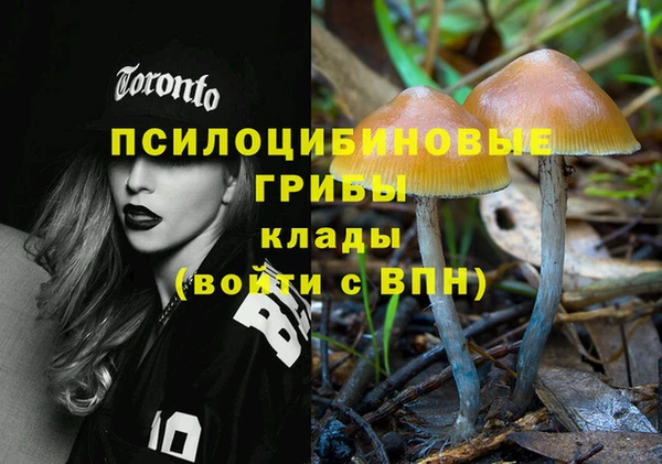 гидра Абдулино