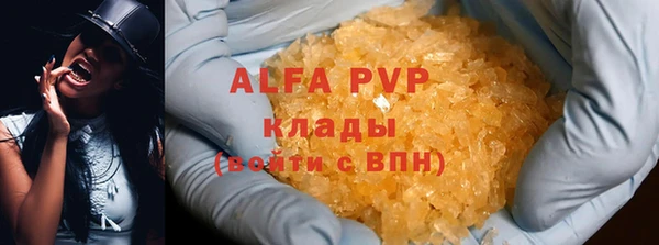 сатива Абаза