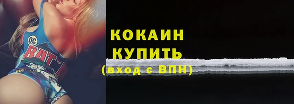 сатива Абаза