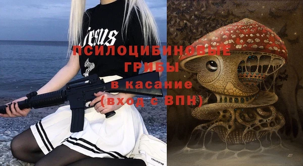 сатива Абаза