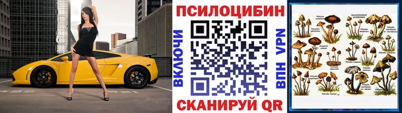 мега рабочий сайт  как найти наркотики  Чита  маркетплейс клад  Псилоцибиновые грибы Psilocybine cubensis 